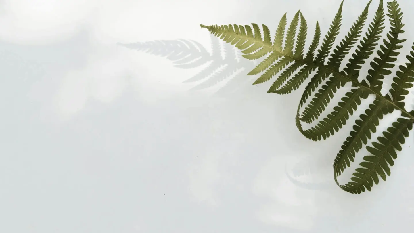 The integration ceiling: when signed customers wait on engineering